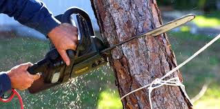 Soil Testing and Treatment in Castaic, CA