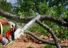 Best Lot and Land Clearing  in Staic, CA